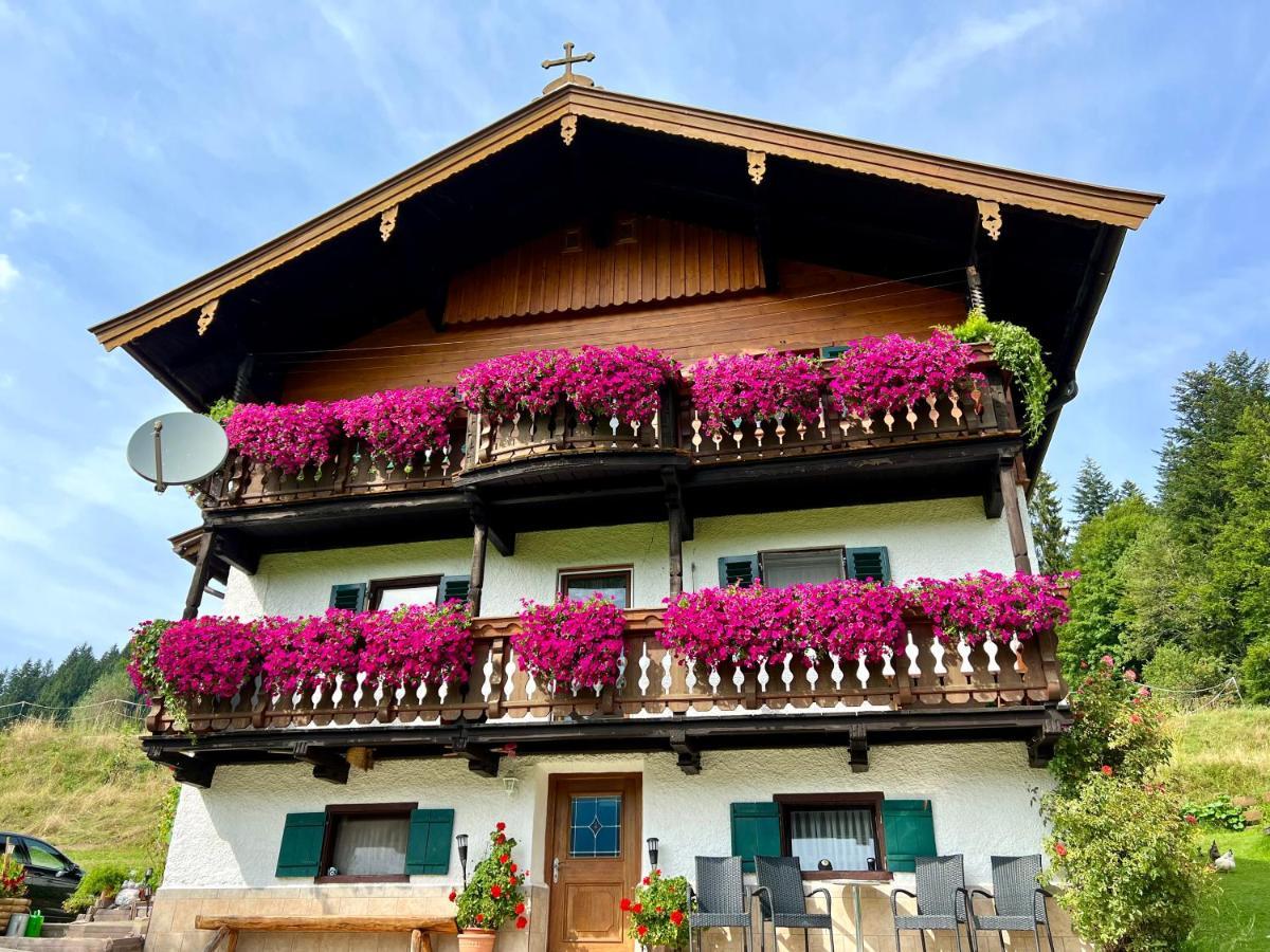 Appartement Sunnseit - Kitzbueheler Alpen Санкт-Йоганн-ін-Тіроль Екстер'єр фото